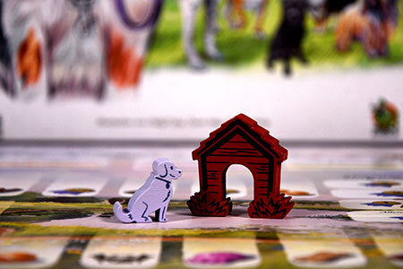 Brettspiel Dog Park. Ein Hund ist nie genug! (Deutsche Version)