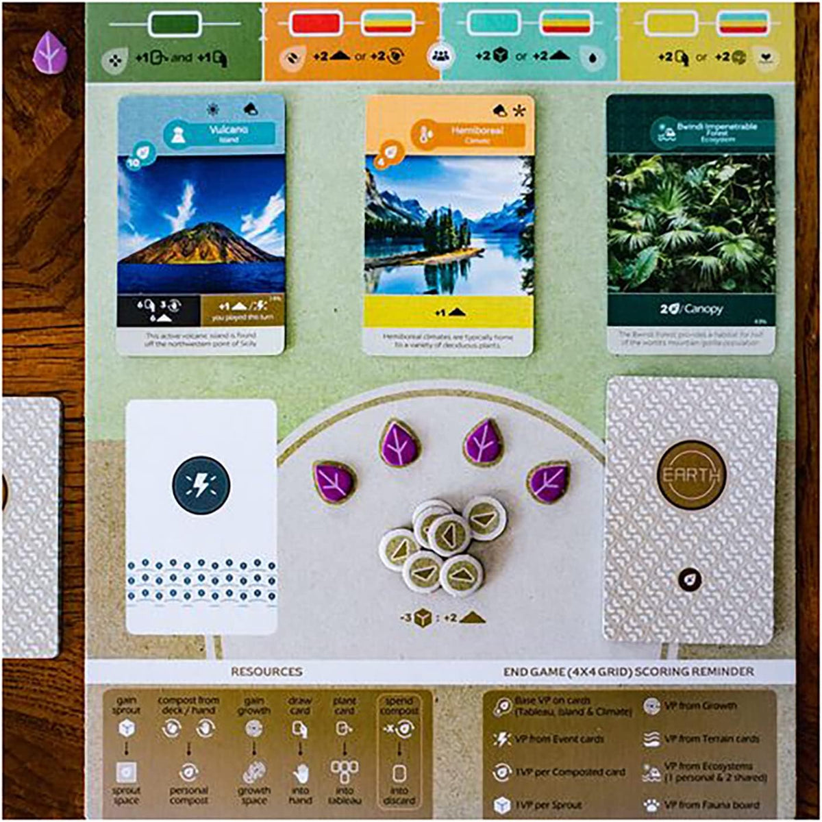 Board Game Earth (English Version)