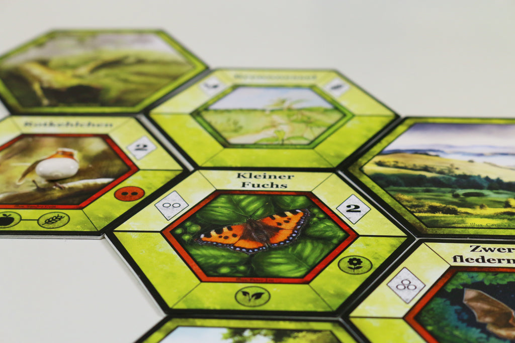 Brettspiel Ecogon. 10 Jahre Jubiläumsedition (Deutsche Version)