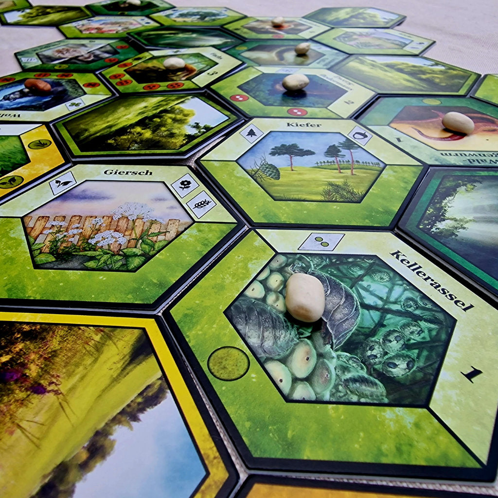 Brettspiel Ecogon. 10 Jahre Jubiläumsedition (Deutsche Version)