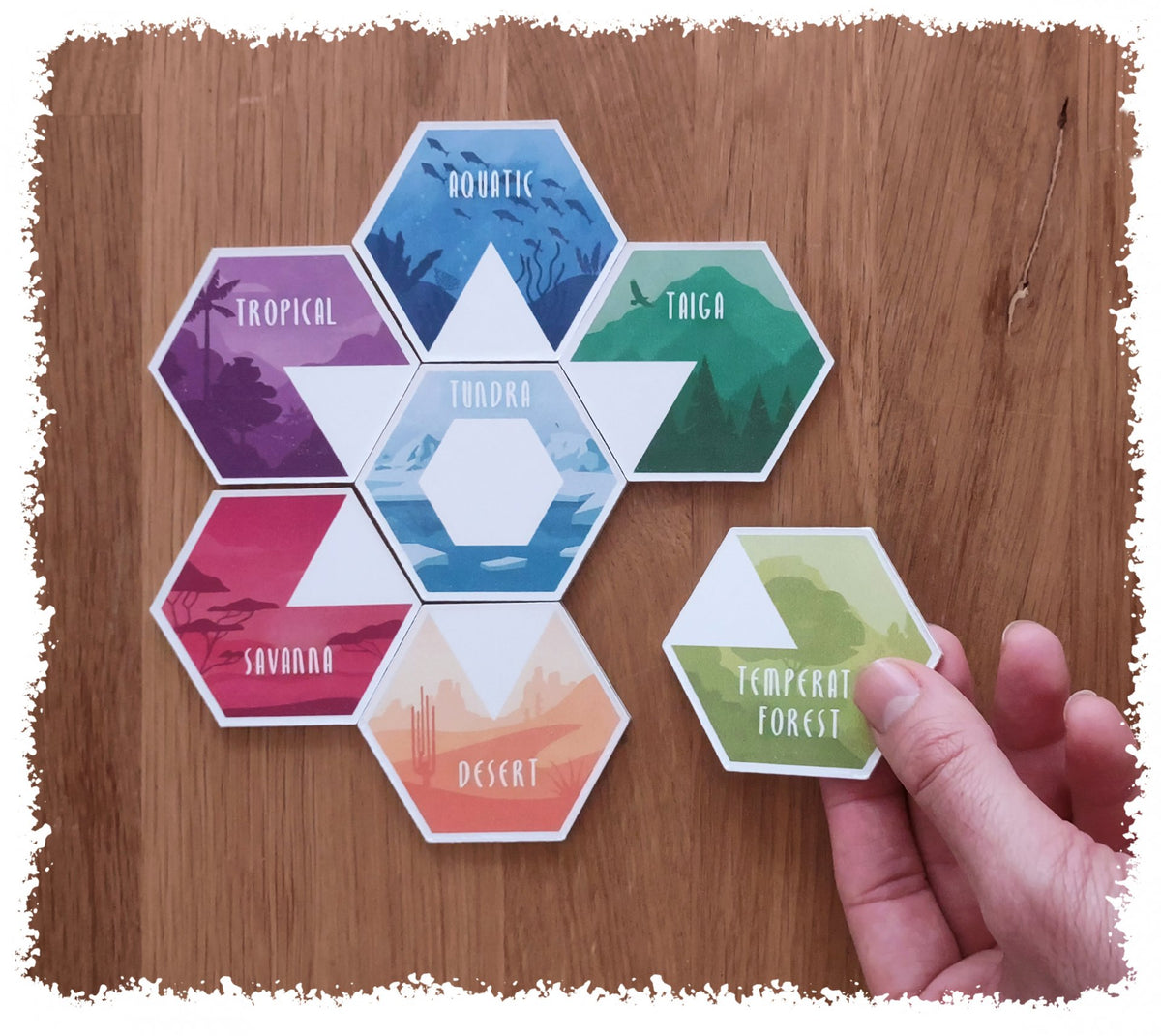 Brettspiel Ecosfera (Deutsche Version)