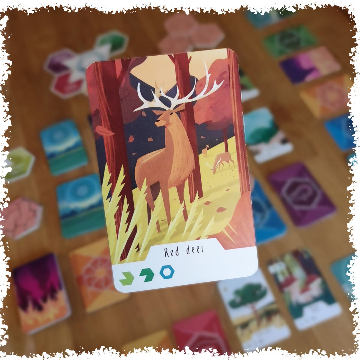 Brettspiel Ecosfera (Deutsche Version)
