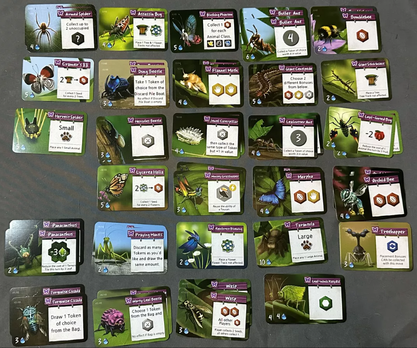 Brettspiel Life of the Amazonia (Englische Version)
