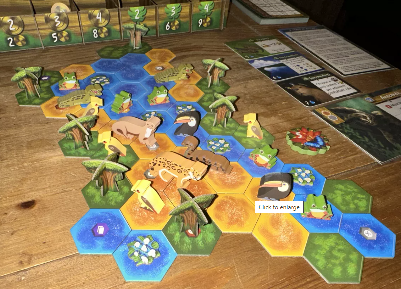 Brettspiel Life of the Amazonia (Englische Version)