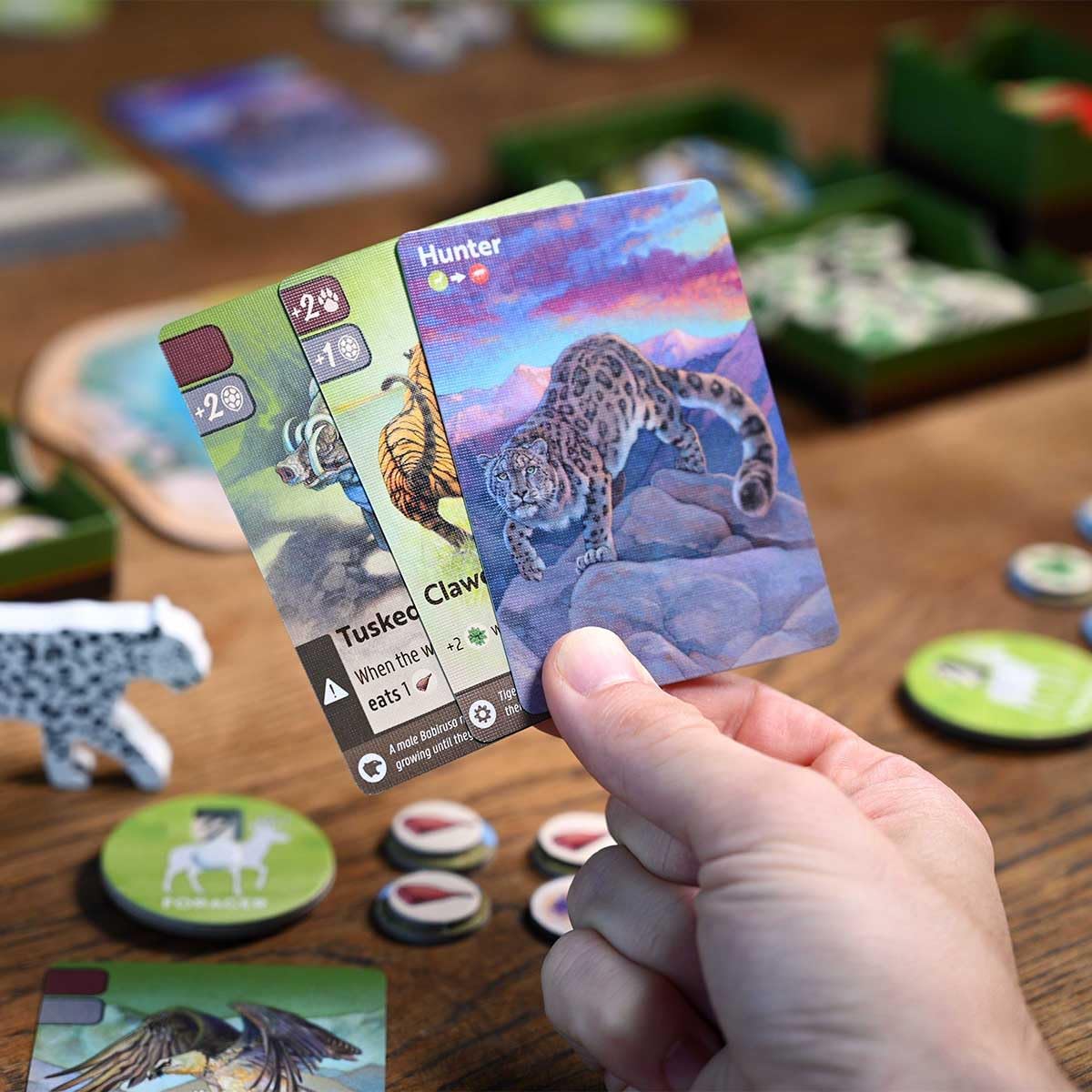 Brettspiel Nature (Englische Version)