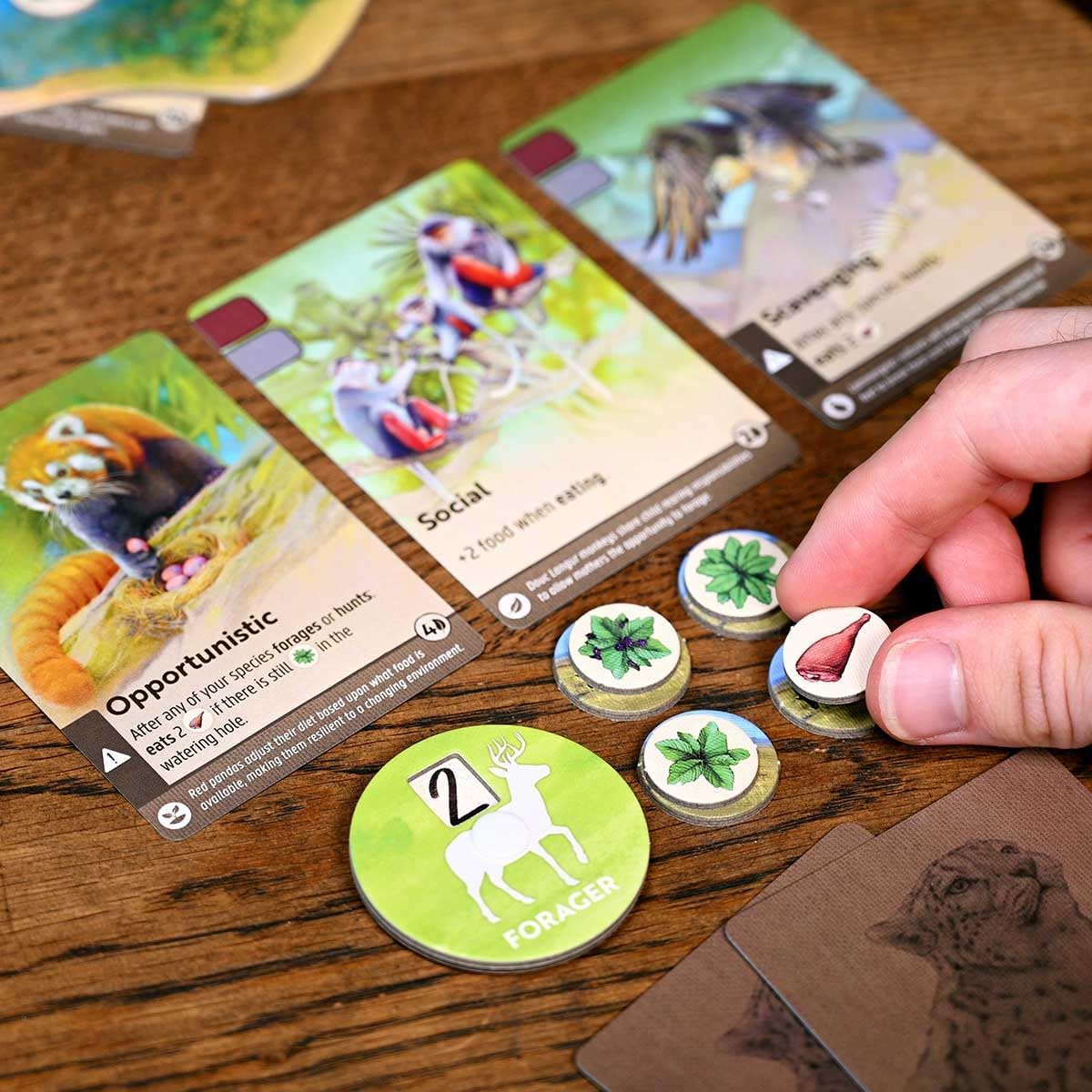 Brettspiel Nature (Englische Version)