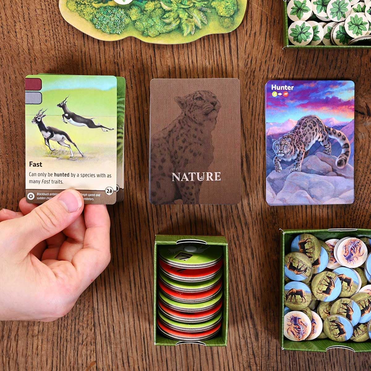 Brettspiel Nature (Englische Version)